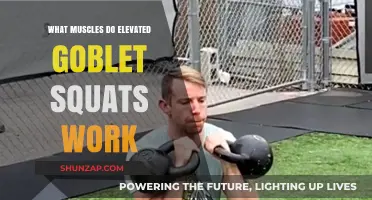Elevated Goblet Squats: Target Muscles and Benefits Explained