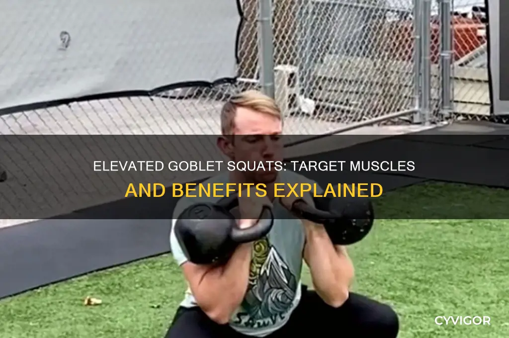 what muscles do elevated goblet squats work