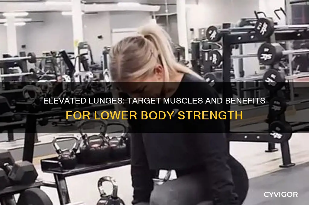 what muscles do elevated lunges work
