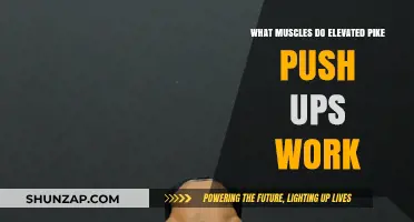 Elevated Pike Push-Ups: Targeted Muscles and Benefits Explained