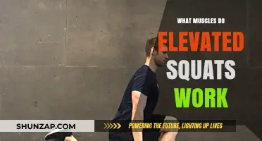 Elevated Squats: Target Muscles and Benefits for Stronger Lower Body