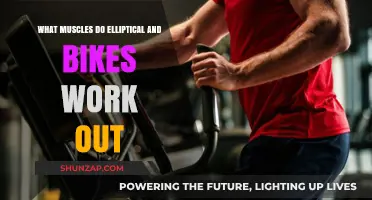 Elliptical vs. Bikes: Target Muscles for Effective Cardio Workouts