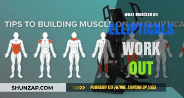Elliptical Workouts: Targeting Muscles for Full-Body Fitness Benefits