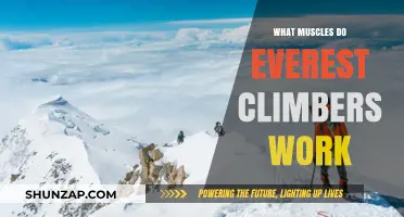 Everest Climbers' Muscle Training: Core, Legs, and Endurance Secrets