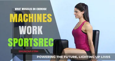 Exercise Machines: Target Muscles and Benefits for Sports Enthusiasts