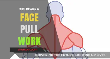 Face Pull Muscles: Targeted Benefits and Proper Form Explained