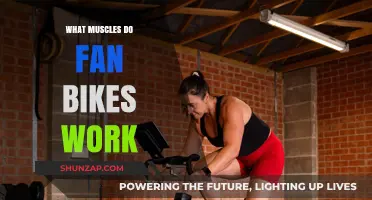 Fan Bike Muscles: Targeted Workout Benefits and Key Muscle Groups