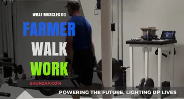 Farmer's Walk Muscles: A Full-Body Strength Training Breakdown