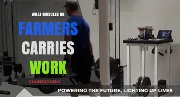 Farmers Carries: Targeted Muscles and Full-Body Strength Benefits Explained