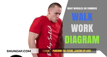 Farmers Walk Muscles Worked: Illustrated Guide to Strength Training Benefits
