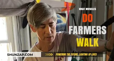 Farmers Walk: Which Muscles Are Targeted?