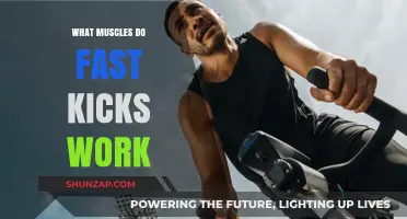 Fast Kicks: Target Muscles for Speed and Power in Martial Arts
