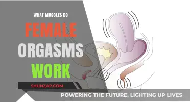 Unveiling the Muscular Magic: Female Orgasms and Their Physical Impact