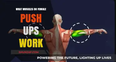 Female Push-Ups: Muscles Targeted and Strengthening Benefits Explained