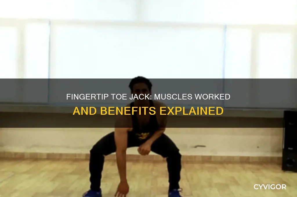 what muscles do fingertip toe jack work