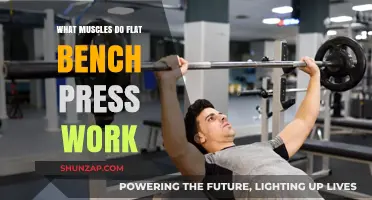 Flat Bench Press Muscles: Targeted Chest, Shoulders, and Triceps Workout