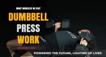 Flat Dumbbell Press: Target Muscles and Benefits Explained