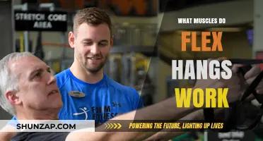 Flex Hangs: Targeted Muscles and Strength Benefits Explained