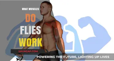 Unveiling the Surprising Muscles Activated During Fly Exercises