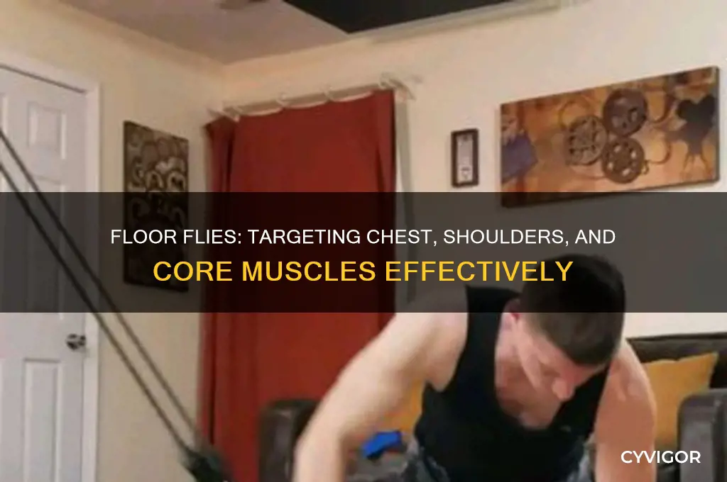 what muscles do floor flies work