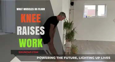 Floor Knee Raises: Targeted Muscles and Core Strengthening Benefits