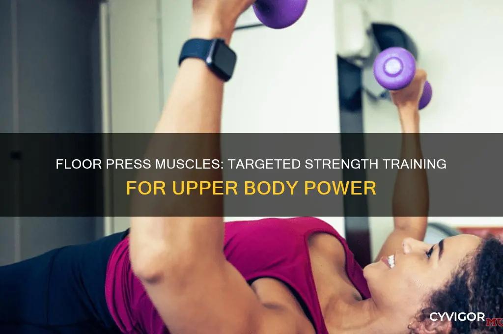 what muscles do floor press work