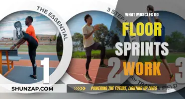 Floor Sprints: Target Muscles and Full-Body Benefits Explained
