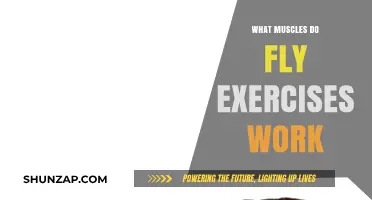 Fly Exercises: Targeting Chest, Shoulders, and Upper Back Muscles Effectively