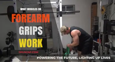 Forearm Grips: Targeted Muscles and Strengthening Benefits Explained