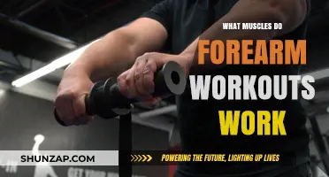 Forearm Workouts: Targeted Muscles for Strength and Grip Power