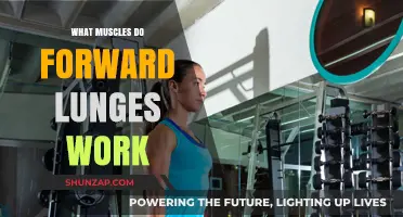 Forward Lunges: Targeting Quadriceps, Glutes, Hamstrings, and Core Muscles