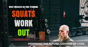Free Standing Squats: Target Muscles and Full-Body Benefits Explained