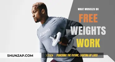 Free Weights: Targeted Muscles and Full-Body Strength Training Benefits