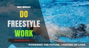 Freestyle Swimming: Key Muscles Engaged in Every Stroke