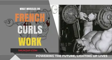 French Curls Muscles: Targeted Benefits and Workout Techniques Explained