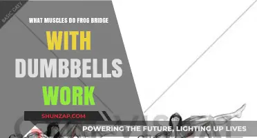 Frog Bridge with Dumbbells: Target Muscles and Workout Benefits