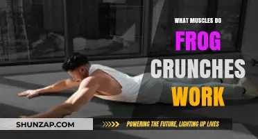 Frog Crunches: Targeting Core Muscles for Strength and Stability