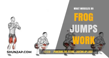 Frog Jumps: Target Muscles and Benefits for Lower Body Strength