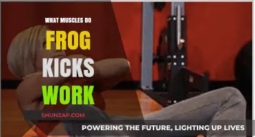 Frog Kicks: Targeted Muscles and Benefits for Core and Lower Body