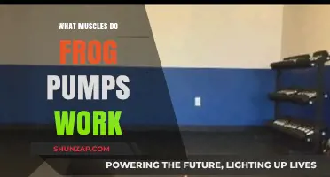 Frog Pumps: Targeted Muscles and Benefits for Strength Training