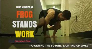 Frog Stands: Target Muscles and Benefits for Strength Training