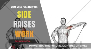Front and Side Raises: Targeted Muscles for Shoulder Strength and Definition