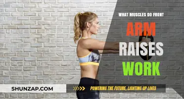 Front Arm Raises: Target Muscles and Benefits Explained