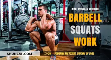 Front Barbell Squats: Target Muscles and Full-Body Benefits Explained