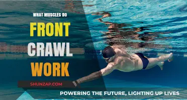 Front Crawl Muscles: Unlocking the Power of Freestyle Swimming