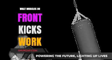 Front Kicks: Target Muscles and Benefits for Strength and Flexibility