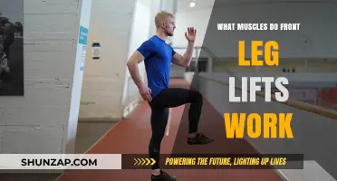 Front Leg Lifts: Targeted Muscles and Benefits Explained