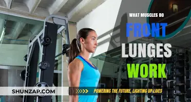 Front Lunges: Target Muscles and Benefits for Lower Body Strength