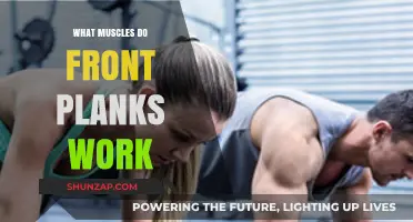 Front Planks: Unlocking Core Strength and Targeted Muscle Engagement