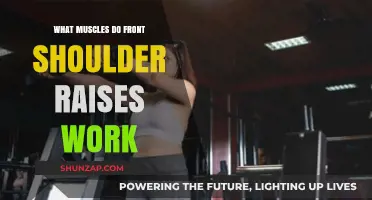 Front Shoulder Raises: Targeted Muscles and Effective Workout Benefits